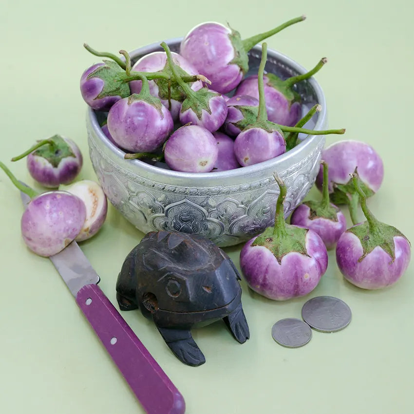 Eggplant - Thai Lavender Frog Egg