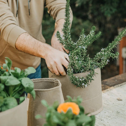 Living Soil Fabric Pots