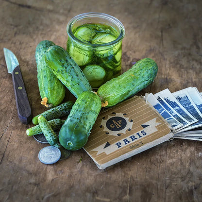 Cucumber - Parisian Pickling