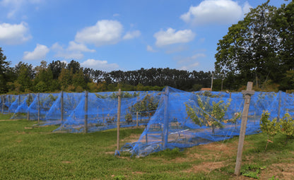 Cicada Netting