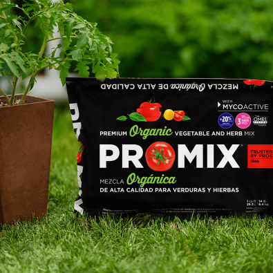 Premium Organic Vegetable & Herb Mix