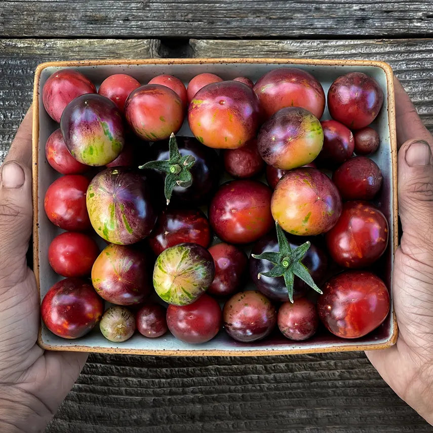 Tomato - Black Strawberry